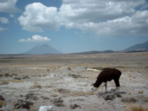 simg2106.jpg