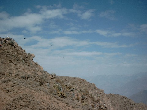 simg2142.jpg