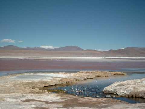 simg2261.jpg